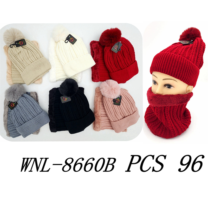 WNL-8660B CS96